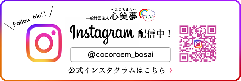 インスタグラム